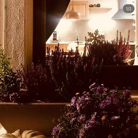 La Casa Di Teo